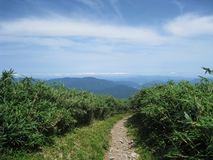 c0077338_2138124.jpg