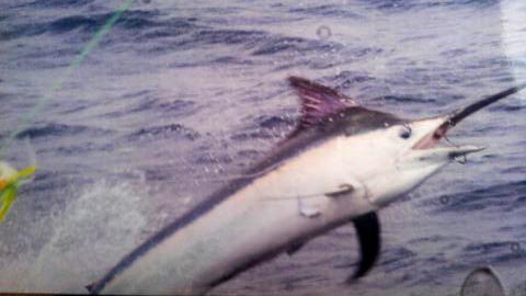 f0009039_1838103.jpg