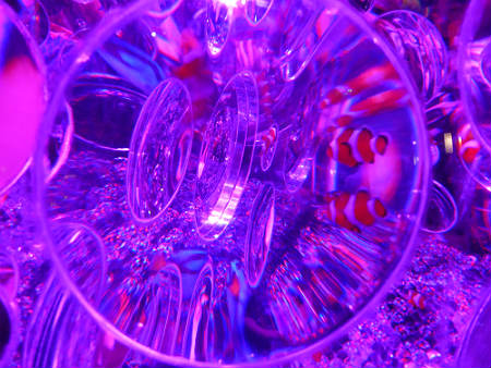 d0039443_2340342.jpg