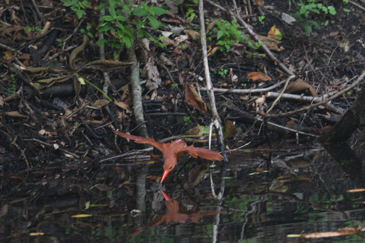 a0039245_20380921.jpg