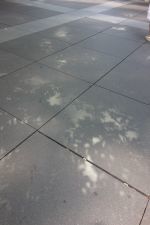 e0080345_07280610.jpg