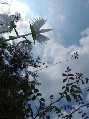 c0332548_19332935.jpg