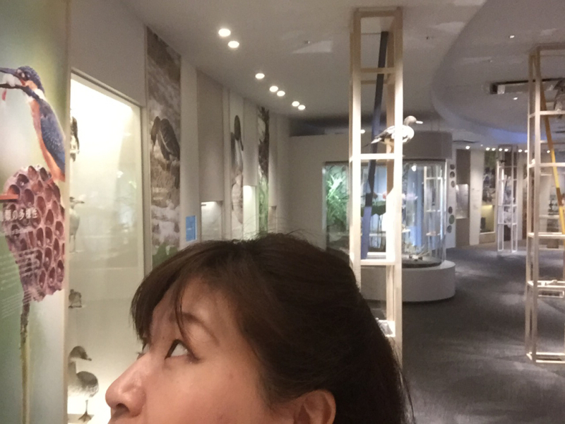 b0367250_01060568.jpg
