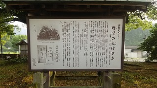 f0000652_1659721.jpg