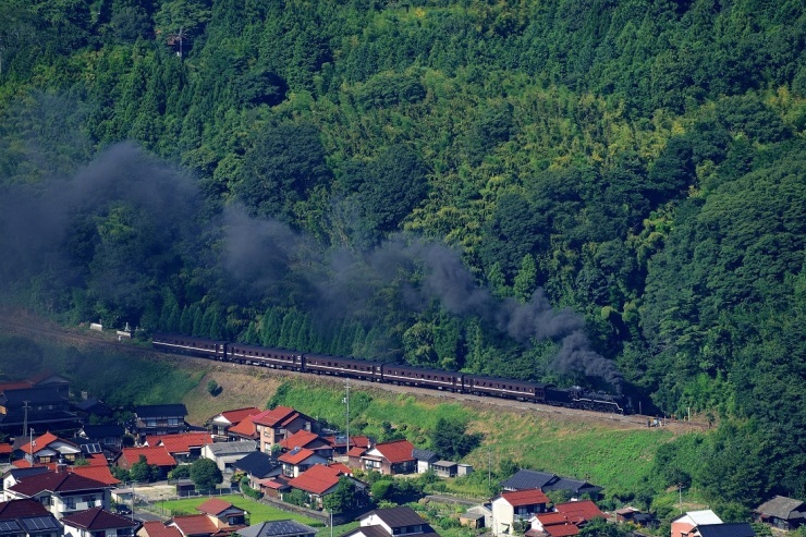 d0336159_17282536.jpg