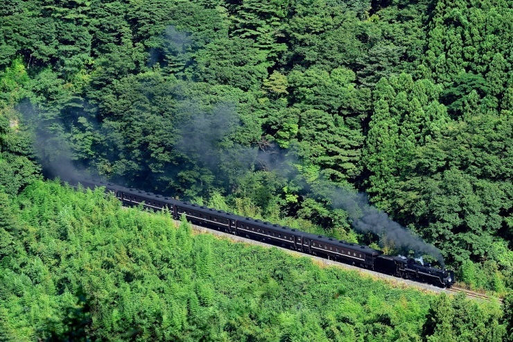 d0336159_19362649.jpg