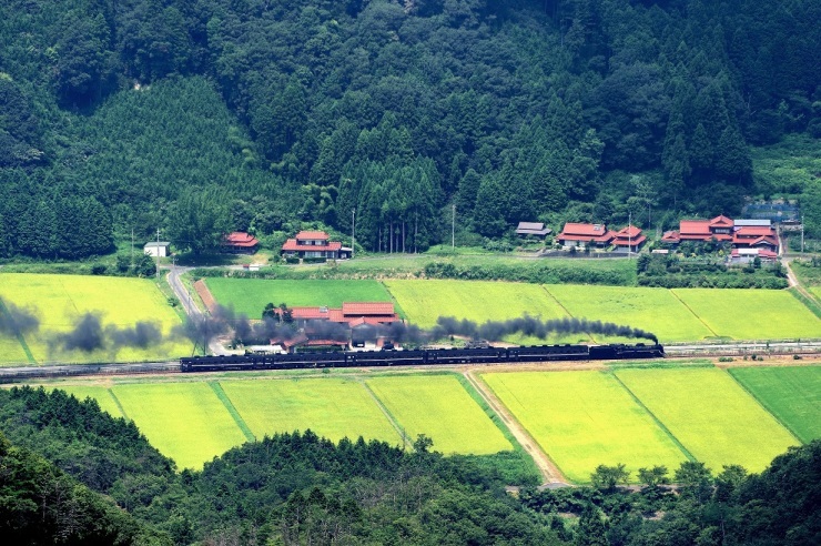 d0336159_20325974.jpg