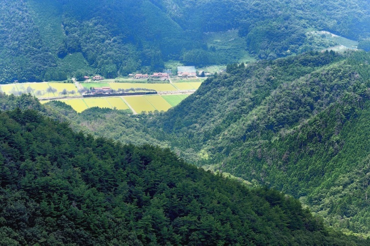 d0336159_20331015.jpg