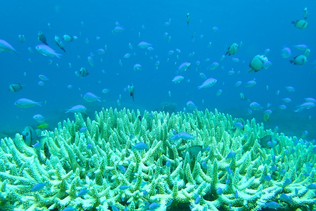 b0062363_19524495.jpg