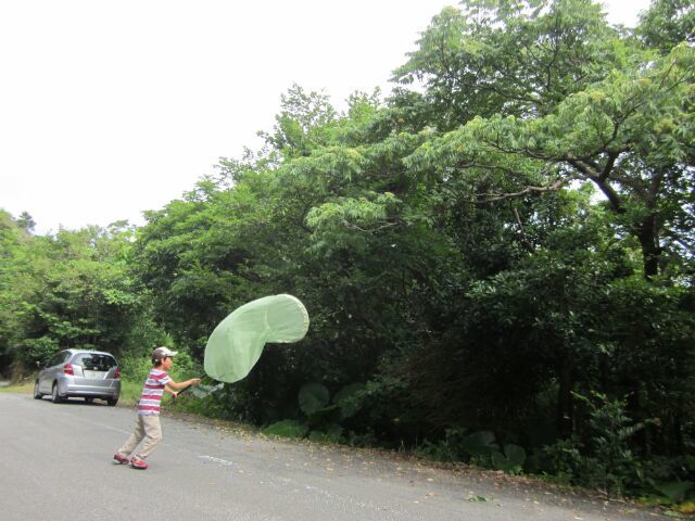 c0309870_01362490.jpg