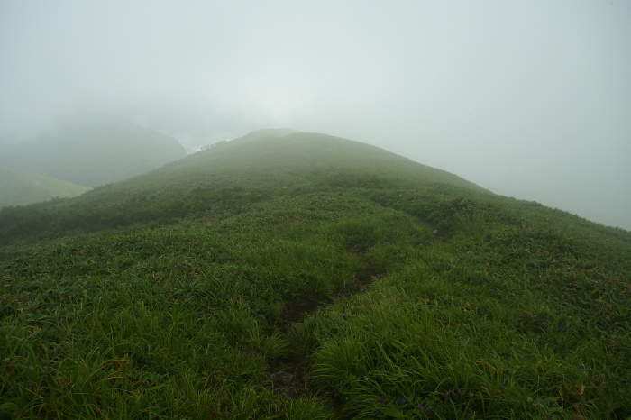 e0307372_20534951.jpg