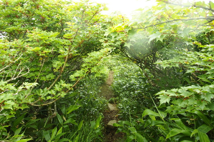 e0307372_21073995.jpg
