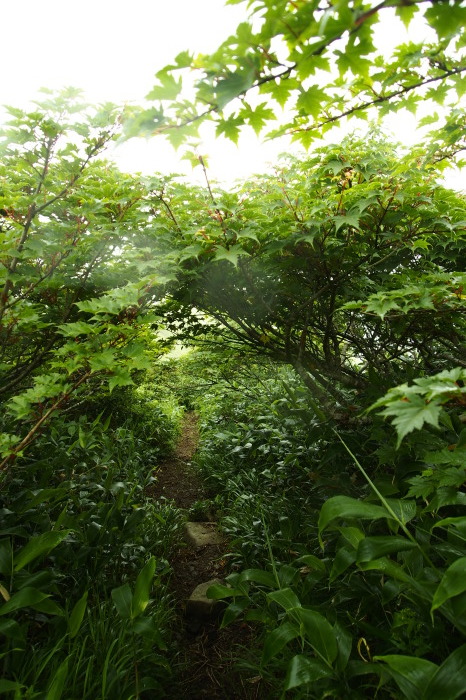 e0307372_21082033.jpg