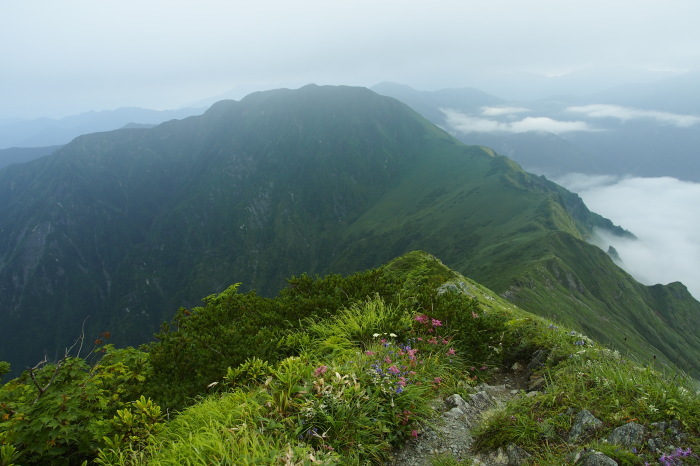 e0307372_21320176.jpg