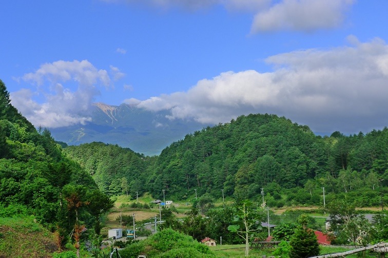 a0130586_881477.jpg