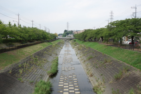 d0183387_16465653.jpg