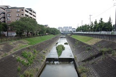 d0183387_17284455.jpg