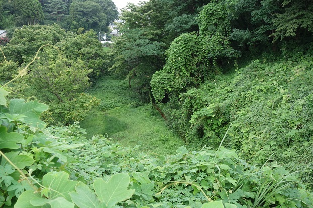 d0183387_17334349.jpg