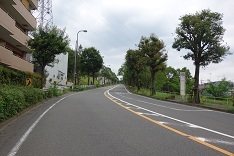 d0183387_18470192.jpg