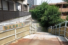 d0183387_19005266.jpg