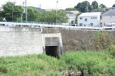 d0183387_19271006.jpg