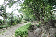 d0183387_19370466.jpg