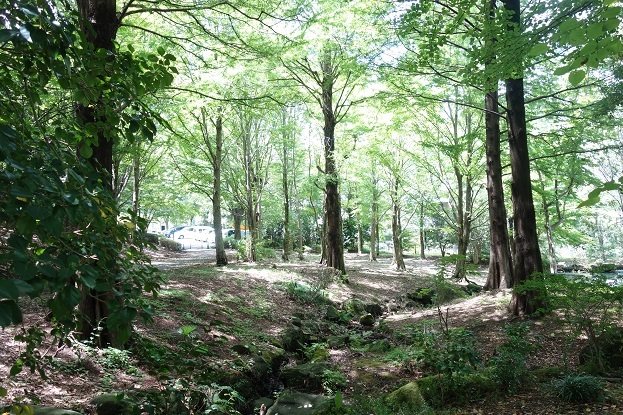 d0183387_19544252.jpg