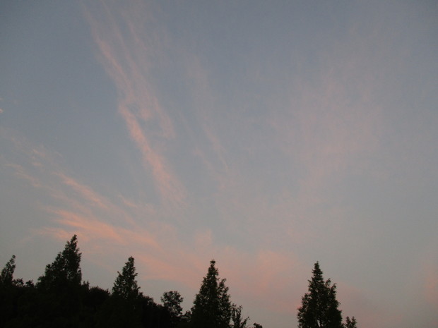 d0333091_19321339.jpg