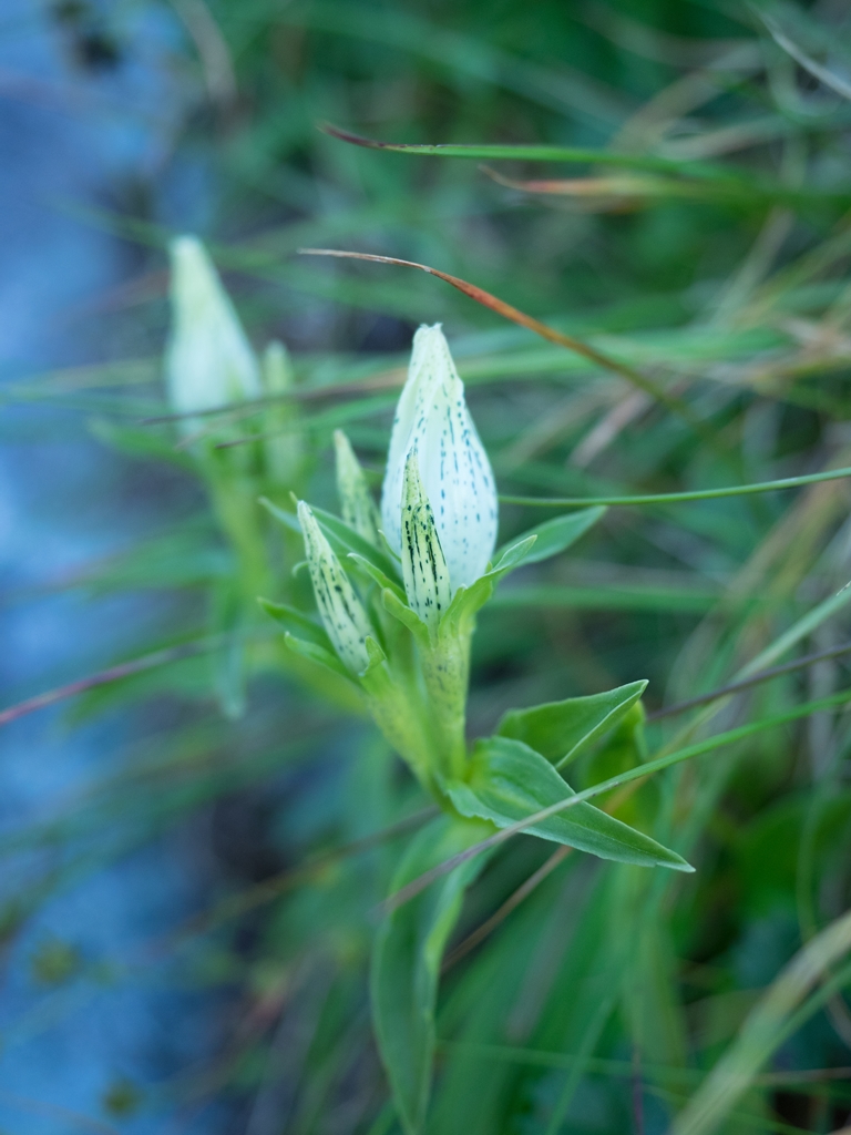 f0224100_1359291.jpg