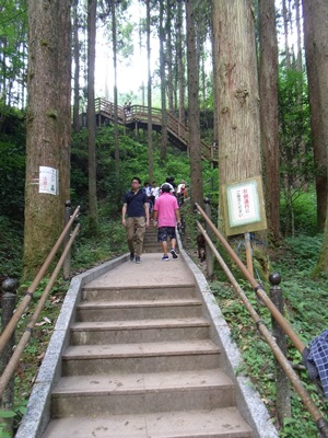 c0017802_15482415.jpg