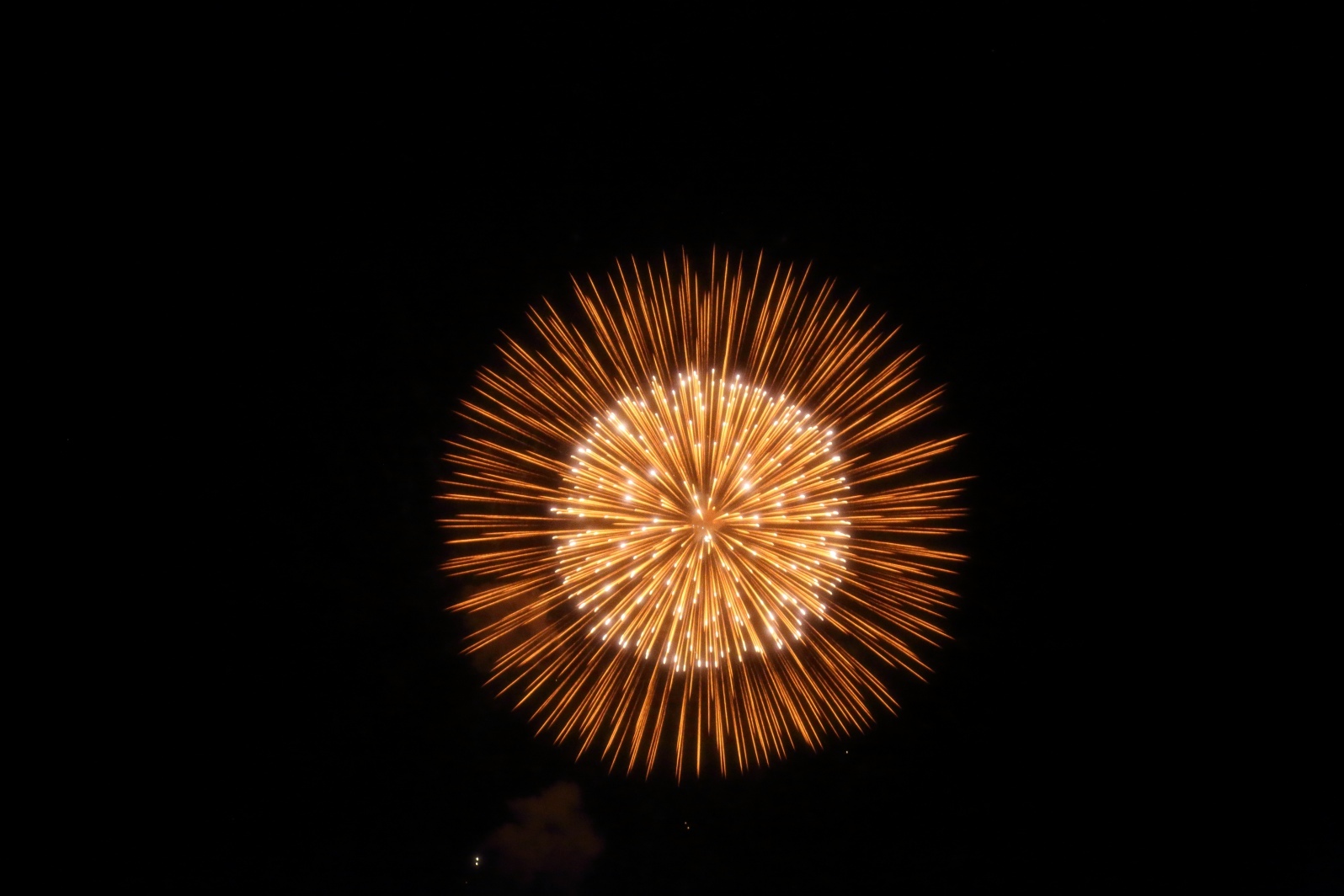 a0155104_22185875.jpg