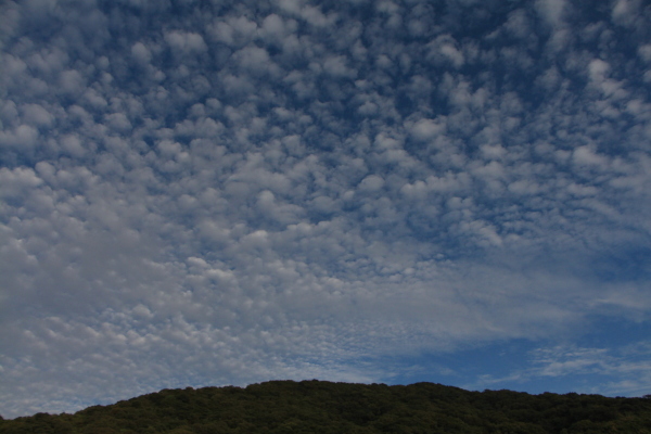 e0126308_13574612.jpg