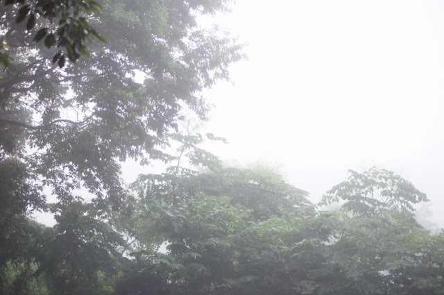 f0327308_07591235.jpg