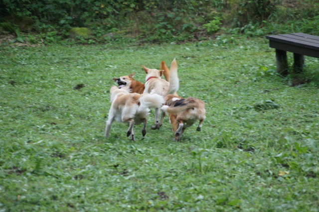f0327308_08063824.jpg