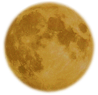 f0231709_22213646.gif