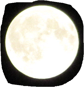 f0231709_22521047.gif