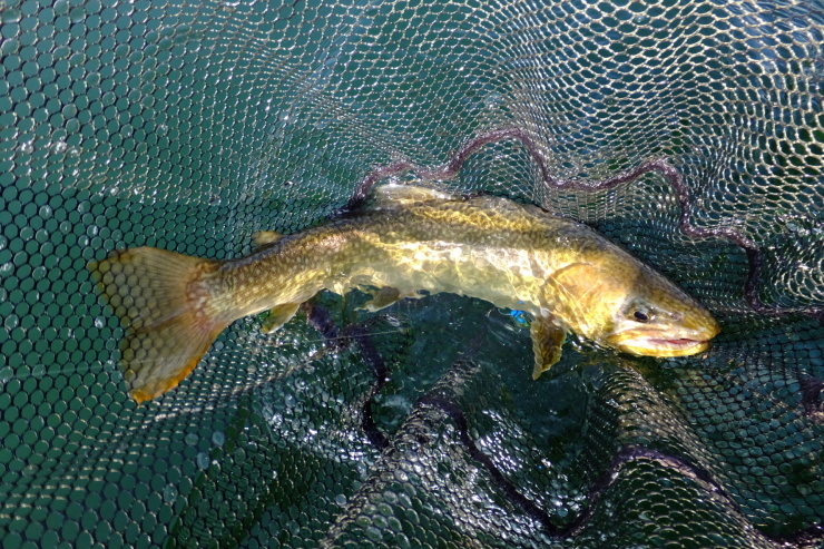 c0232813_19171086.jpg