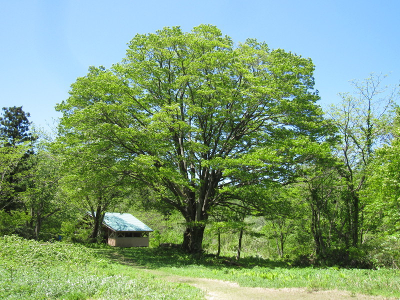 d0103314_11182969.jpg