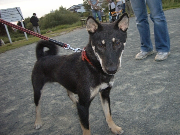 f0369014_15293660.jpg