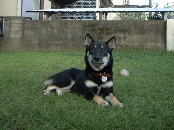 f0369014_15300684.jpg