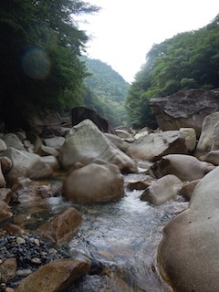 c0359615_09144904.jpg