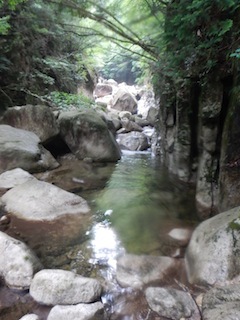 c0359615_09153180.jpg