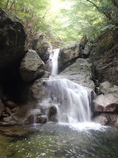 c0359615_09155124.jpg