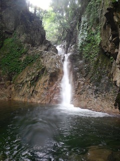 c0359615_09163307.jpg