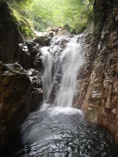 c0359615_09170060.jpg