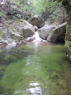 c0359615_09171324.jpg