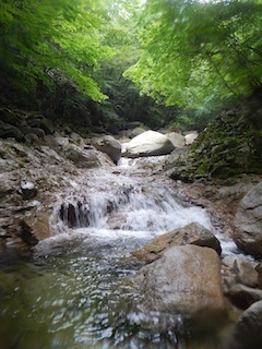 c0359615_09172831.jpg