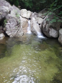 c0359615_09174705.jpg
