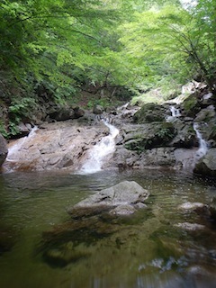 c0359615_09195588.jpg