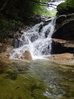 c0359615_09201069.jpg
